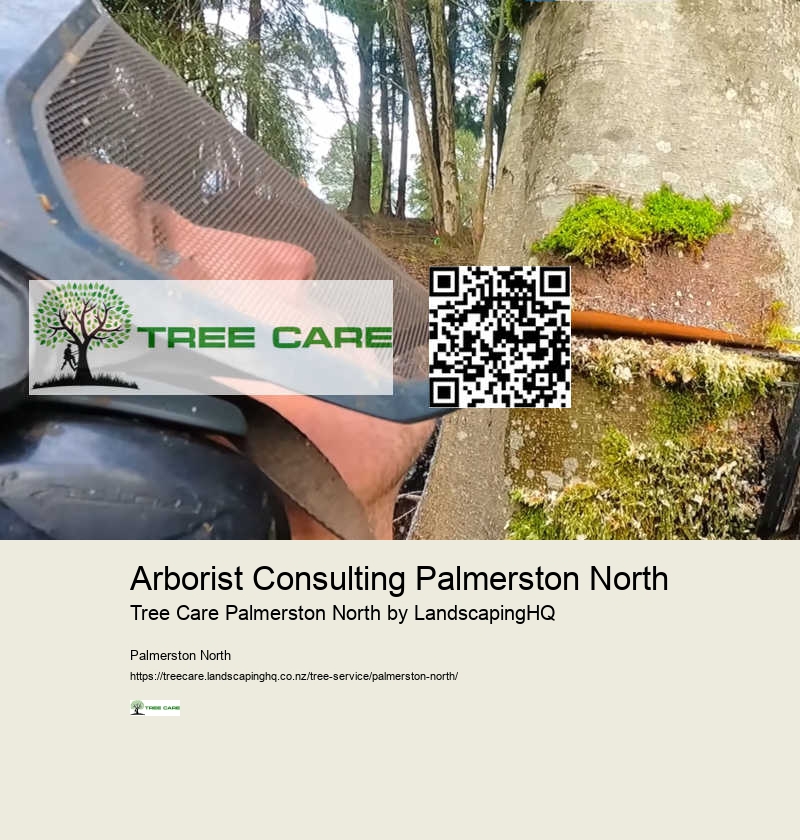 Tree Trimming Experts Palmerston North
