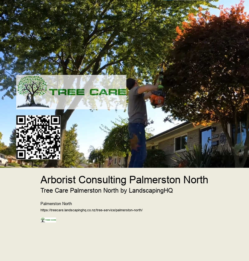 Land Clearing Experts Palmerston North