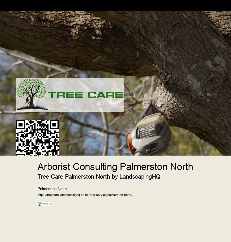 Residential Arborist Palmerston North
