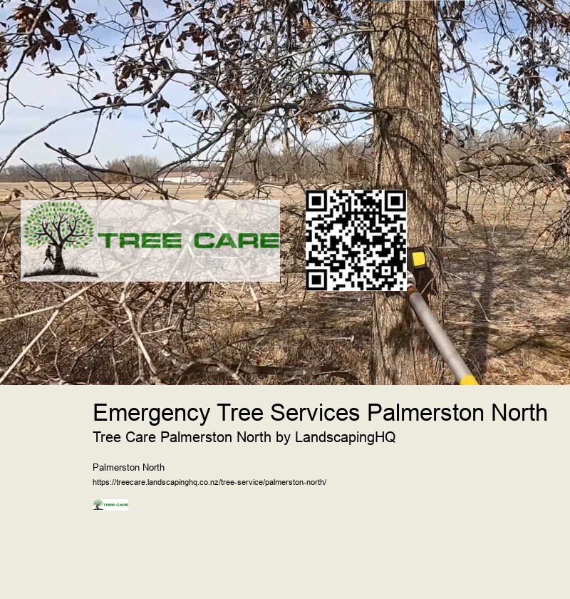 Commercial Arborist Palmerston North