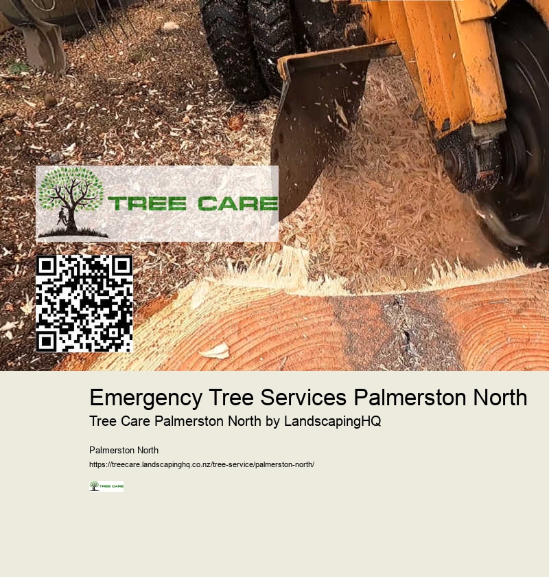 Urgent Tree Care Palmerston North