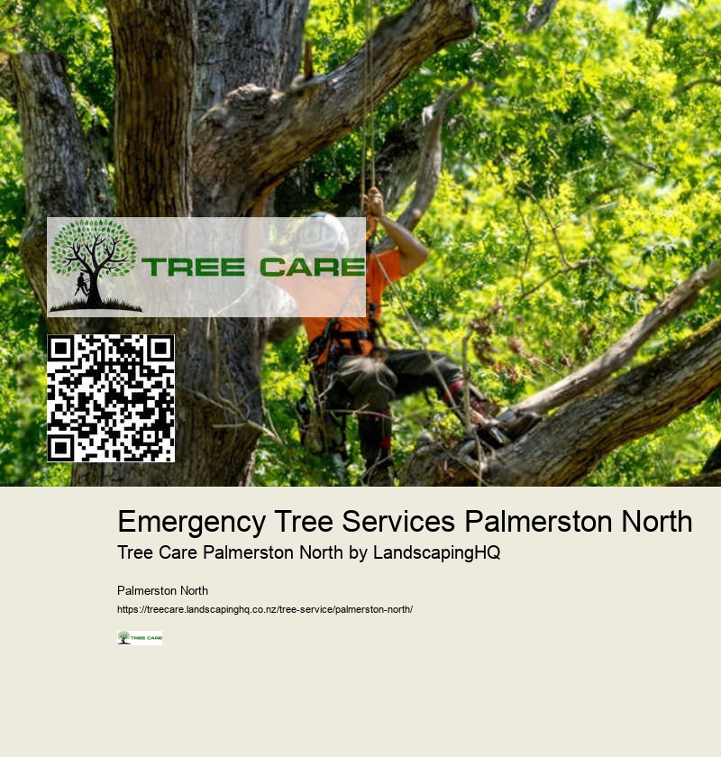 Affordable Hedge Trimming Palmerston North