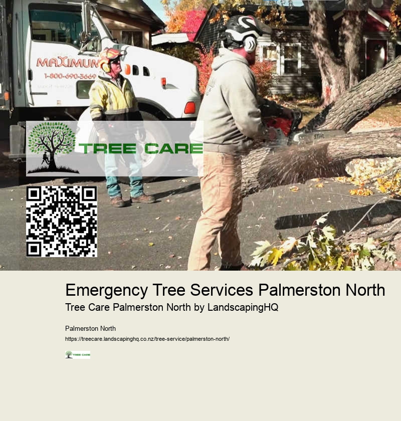 Emergency Tree Cleanup Palmerston North