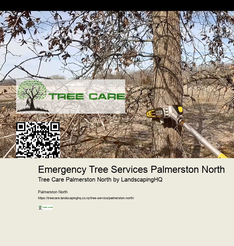 Arborist Advice Palmerston North