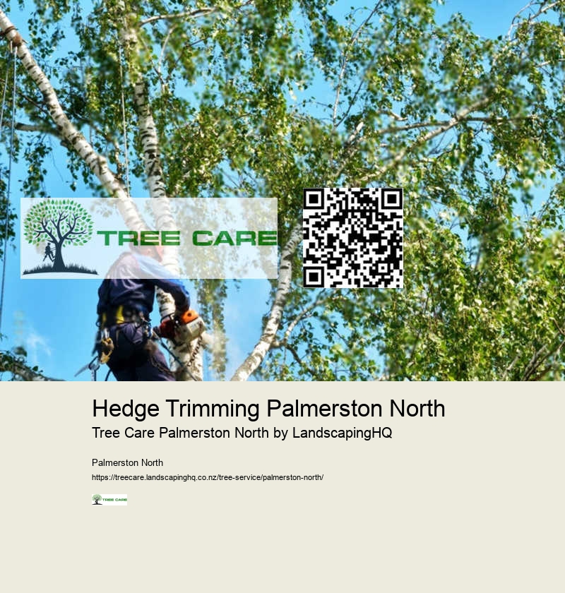 Hedge Shaping Palmerston North