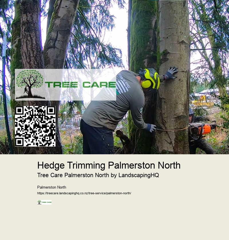Large Tree Removal Palmerston North