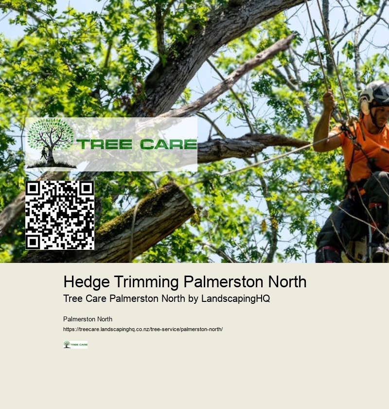 Residential and Commercial Tree Services Palmerston North