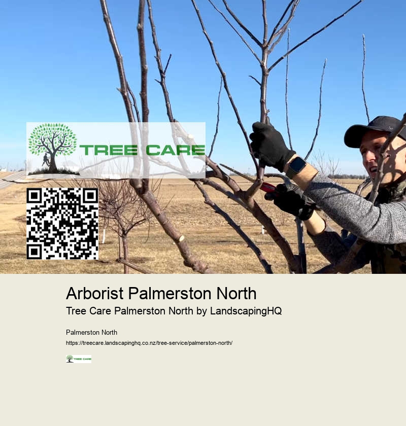 Professional Tree Pruning Palmerston North