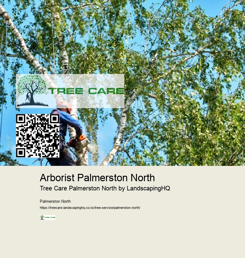 24/7 Emergency Tree Services Palmerston North