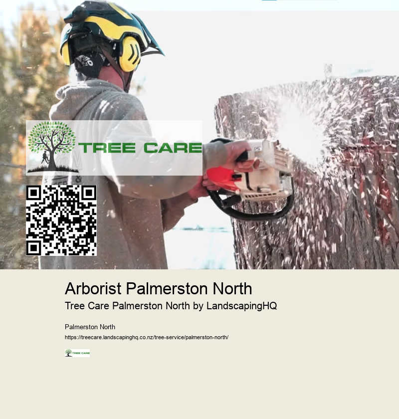 Professional Land Clearing Palmerston North