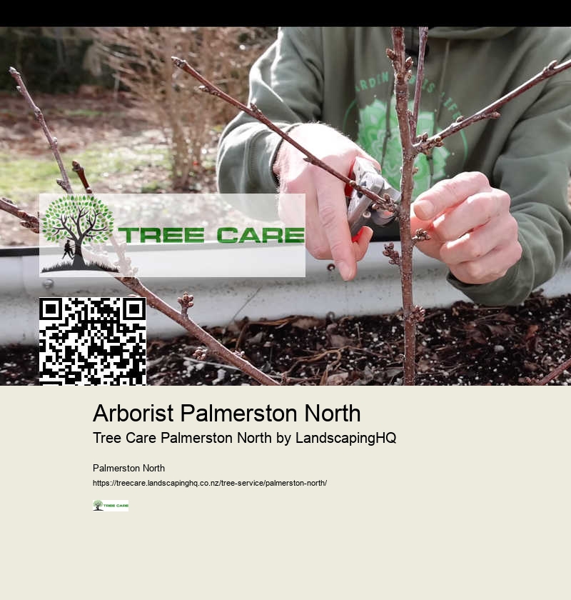 Professional Arborist Palmerston North