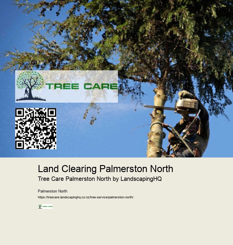 Affordable Tree Services Palmerston North