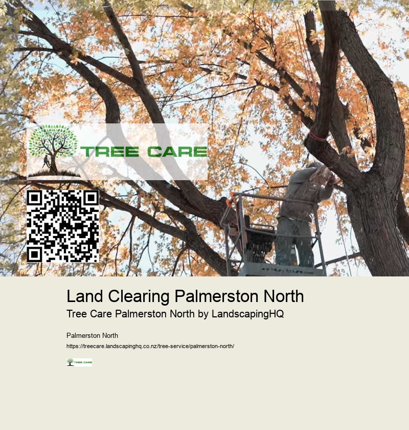 Emergency Tree Removal Palmerston North
