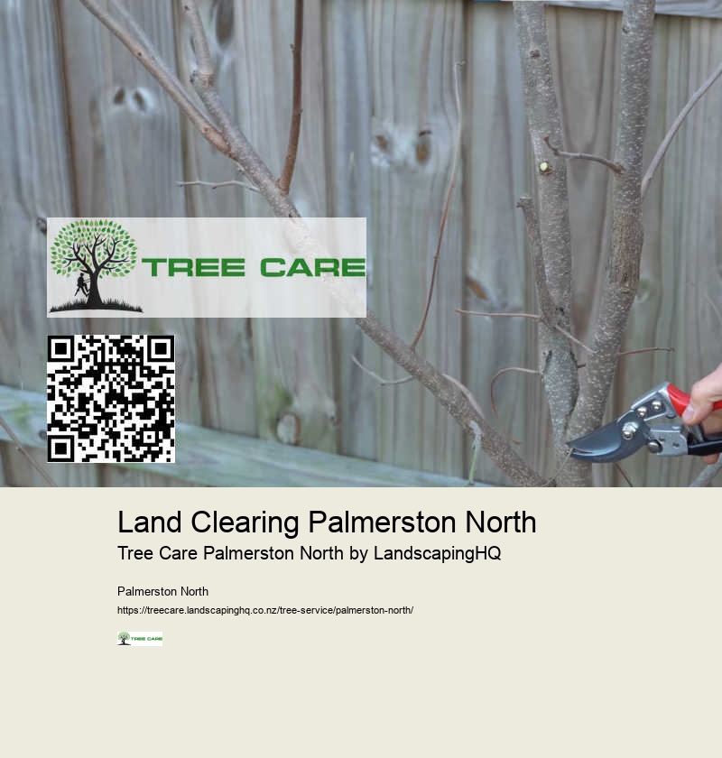 Tree Removal Experts Palmerston North