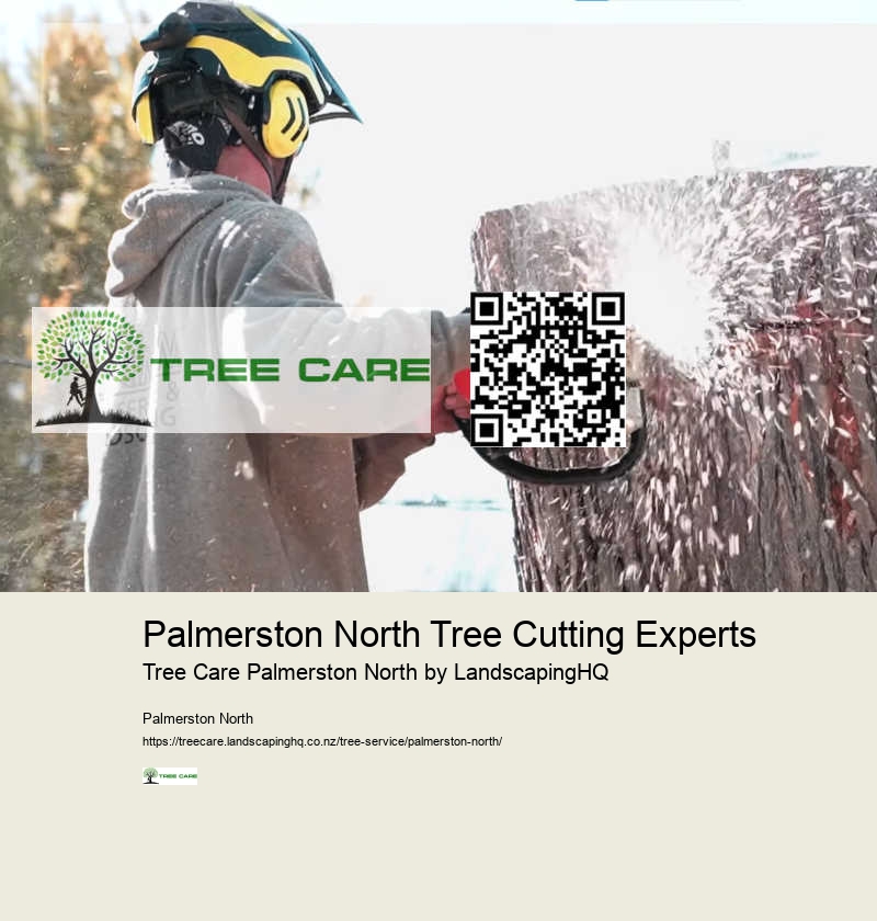 Safe Tree Removal Palmerston North