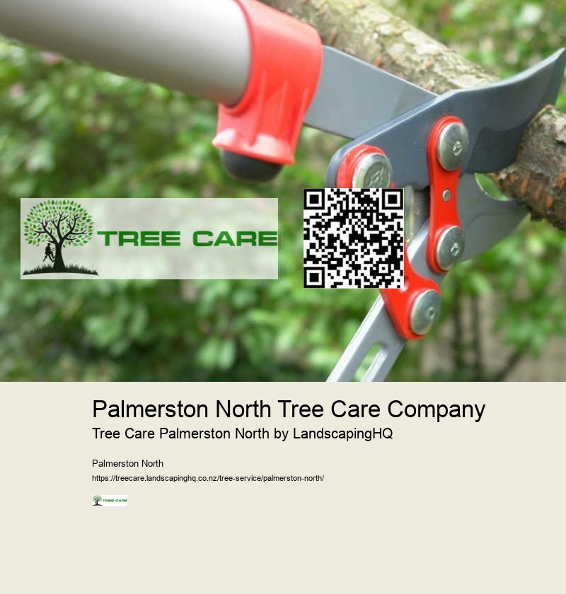 Expert Arborist Advice Palmerston North