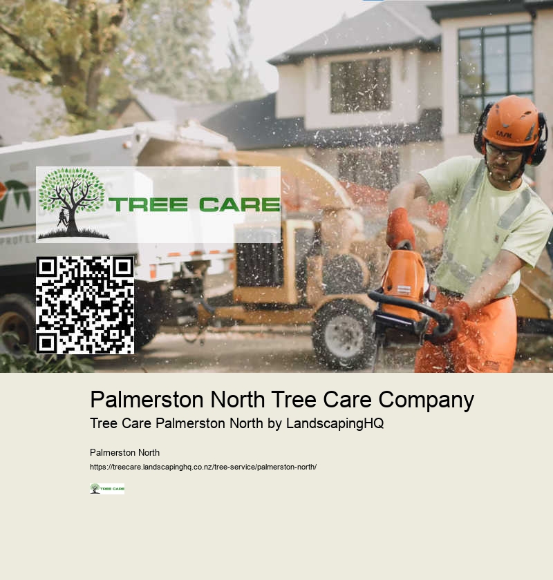 Land Clearing Services Palmerston North