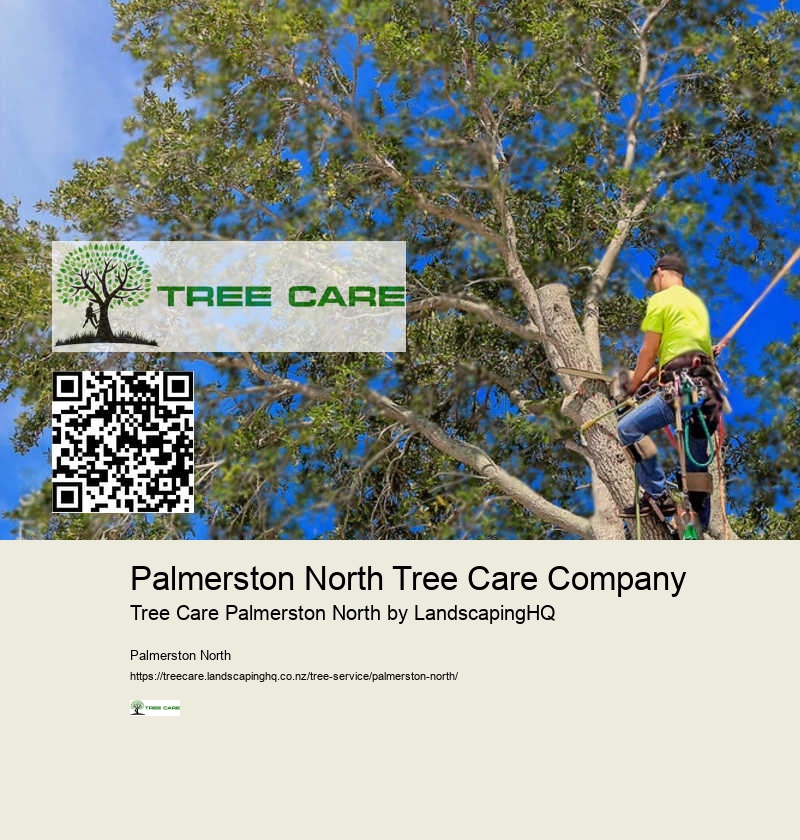 Local Tree Services Palmerston North