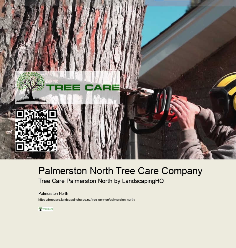 Local Tree Cutting Specialists Palmerston North
