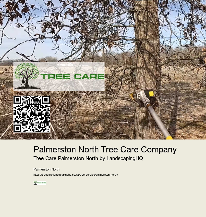 Arborist Palmerston North Area