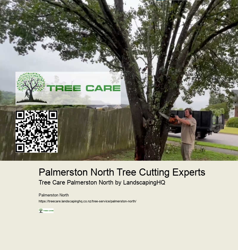 Reliable Stump Grinding Palmerston North