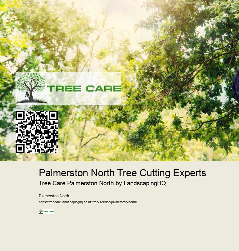 Tree Stump Grinding Services Palmerston North