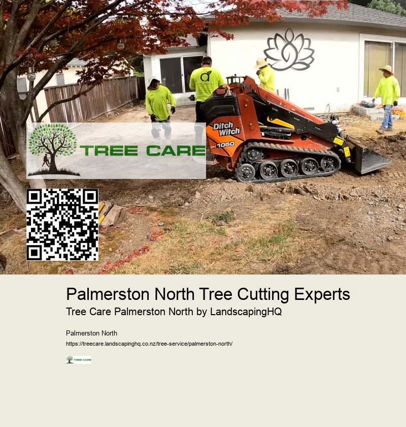 Affordable Arborist Palmerston North