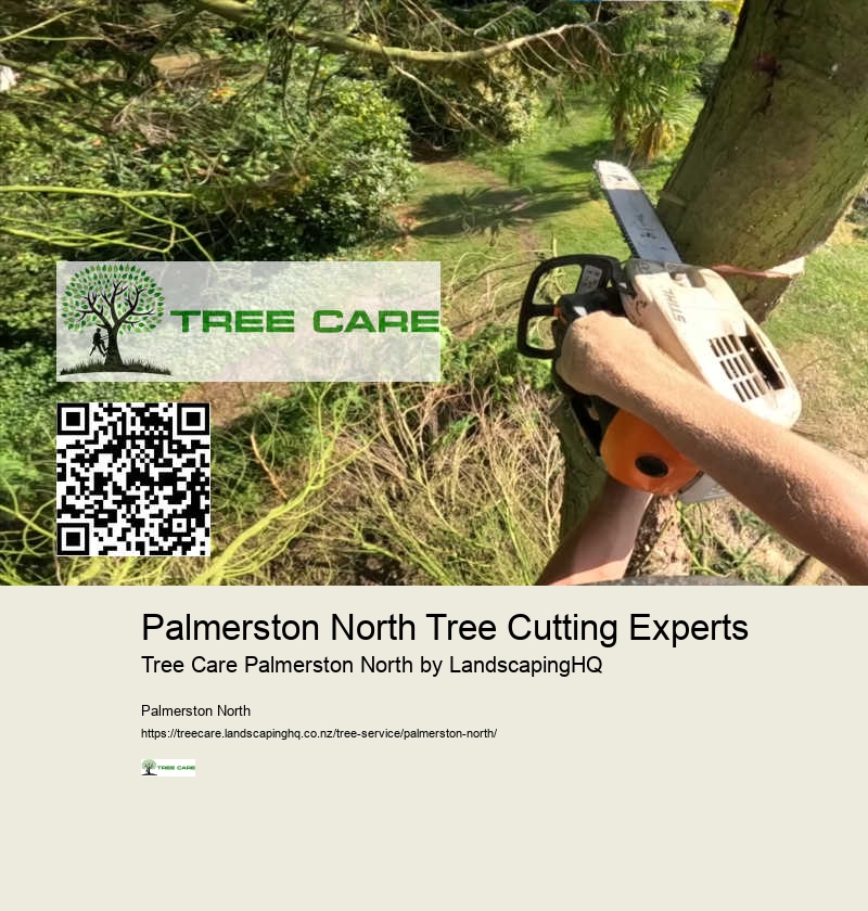 Professional Tree Cutting Palmerston North