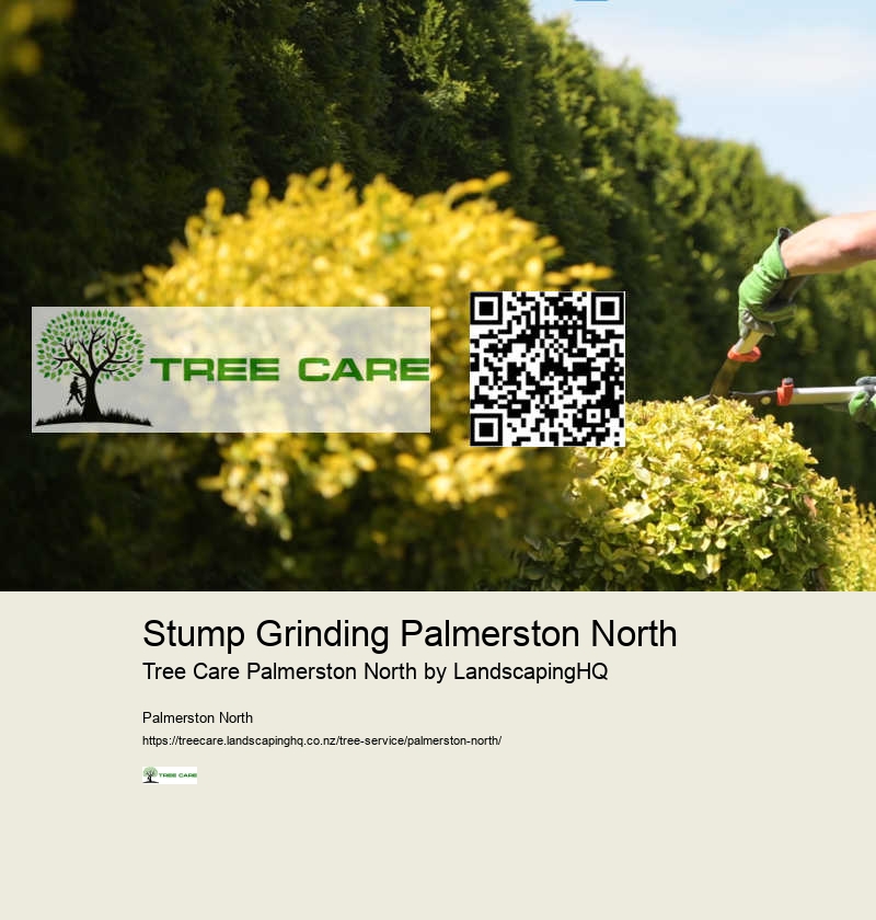 Stump Grinding and Removal Palmerston North