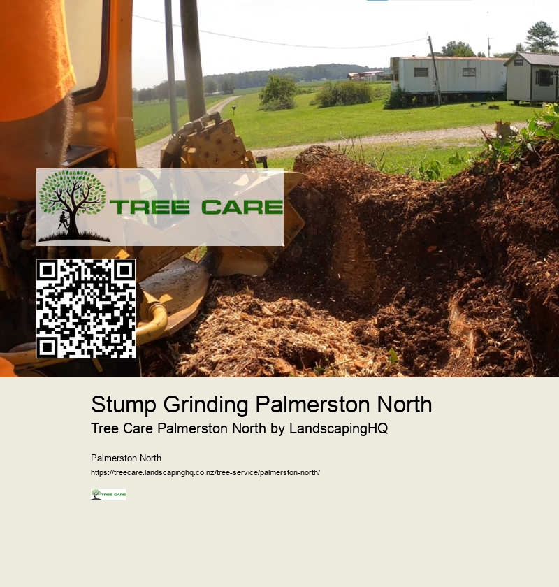 Certified Arborist Palmerston North