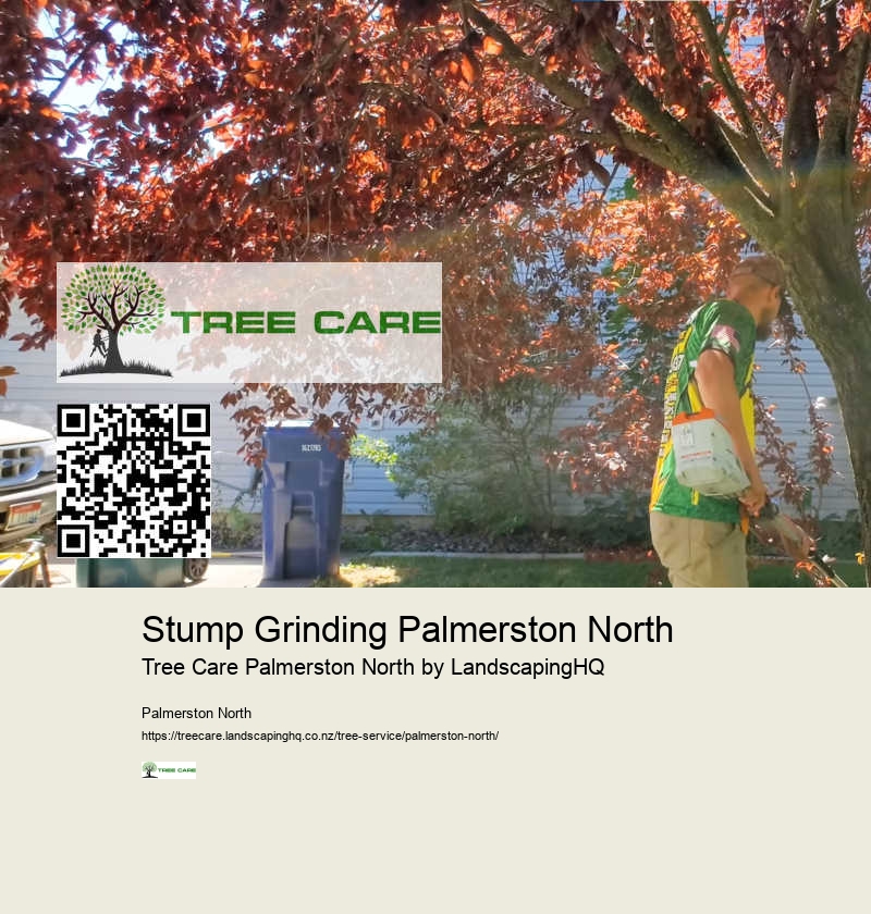 Best Arborist in Palmerston North