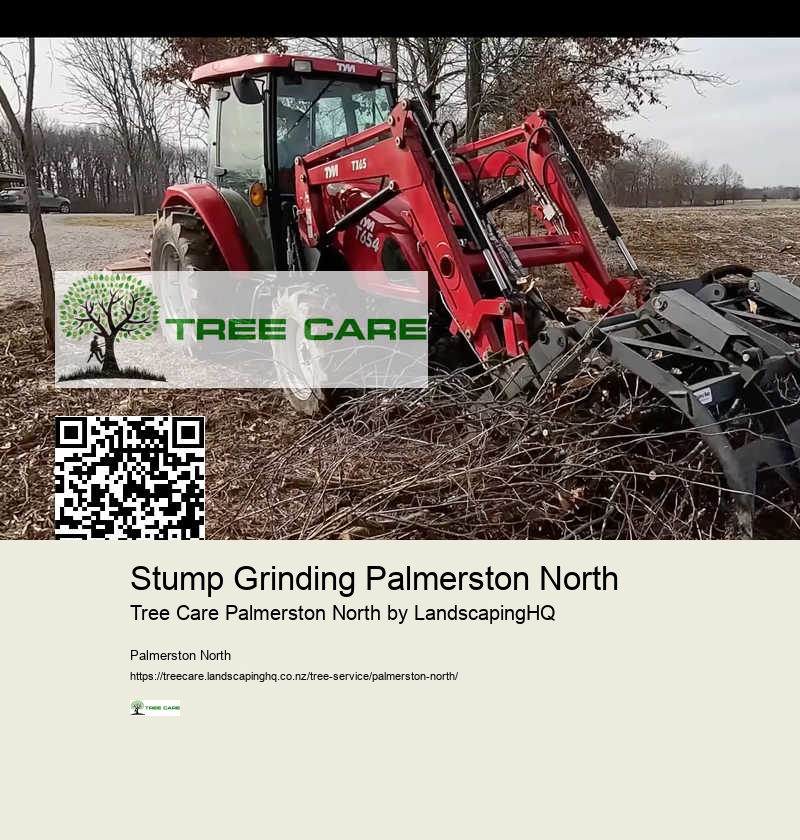 Affordable Stump Grinding Palmerston North