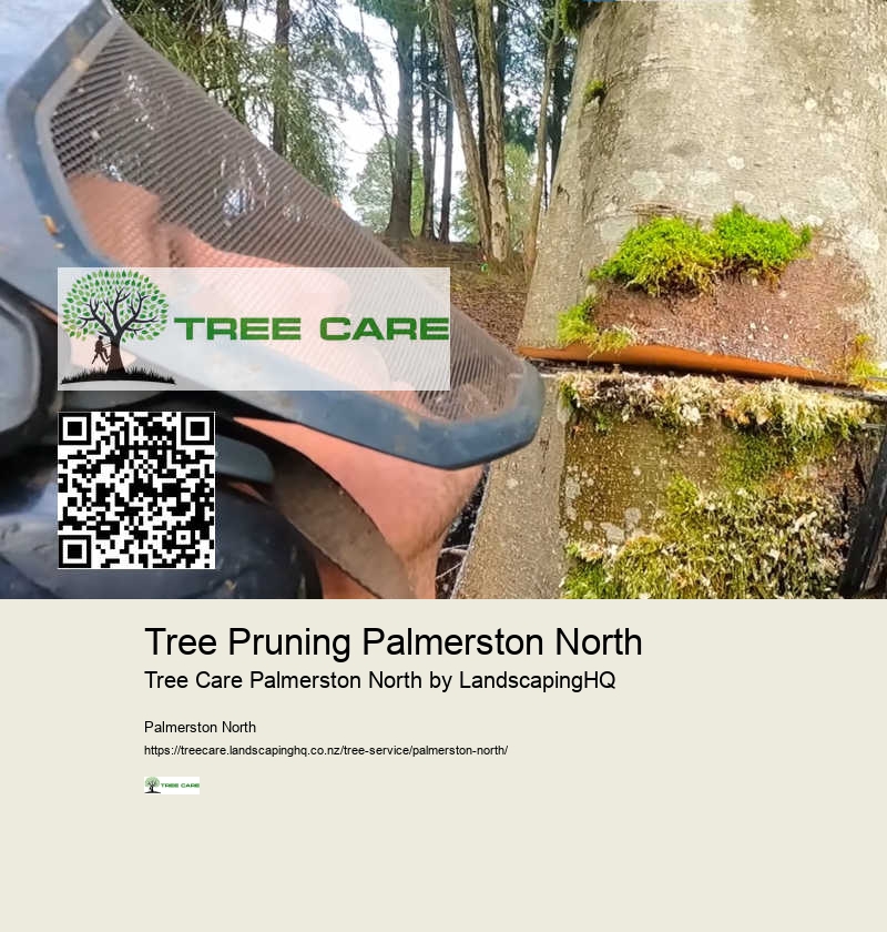 Expert Tree Care Services Palmerston North