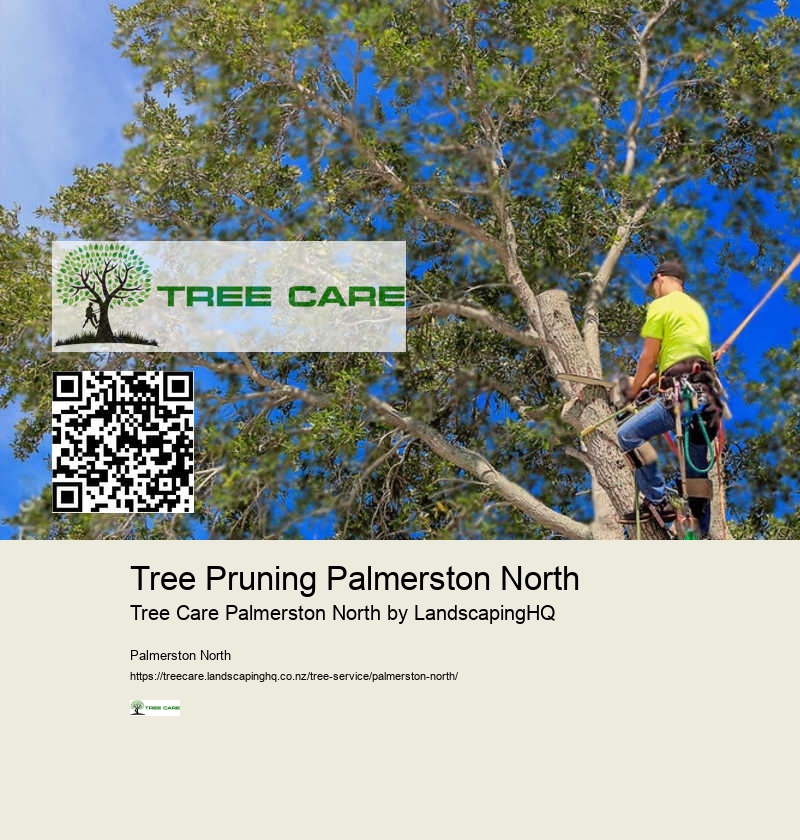 Affordable Tree Care Company Palmerston North