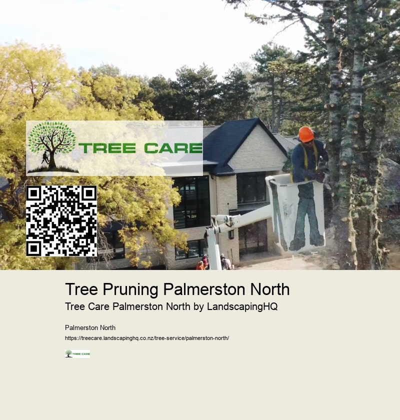 Storm Damage Tree Services Palmerston North