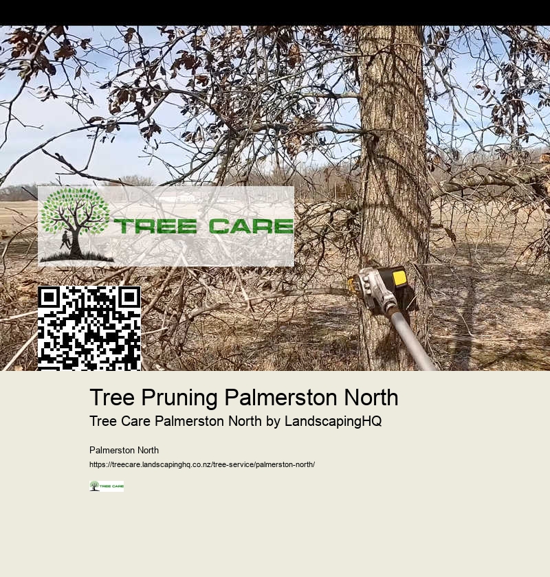 Local Arborist Palmerston North