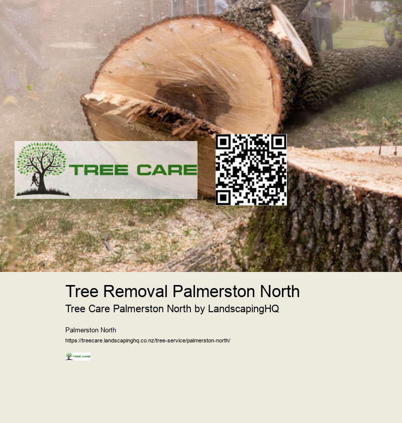 Emergency Tree Removal Palmerston North
