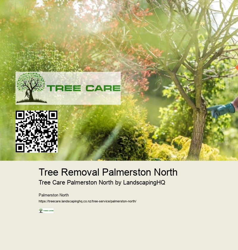 Affordable Tree Removal Palmerston North