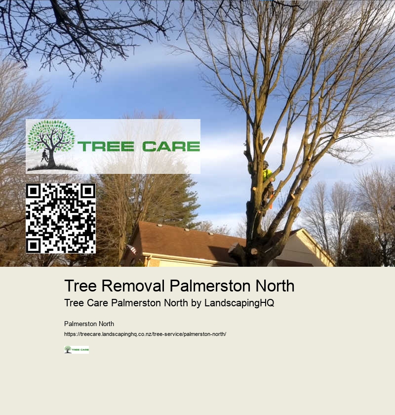 Comprehensive Tree Services Palmerston North