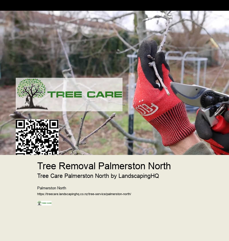 Residential Land Clearing Palmerston North