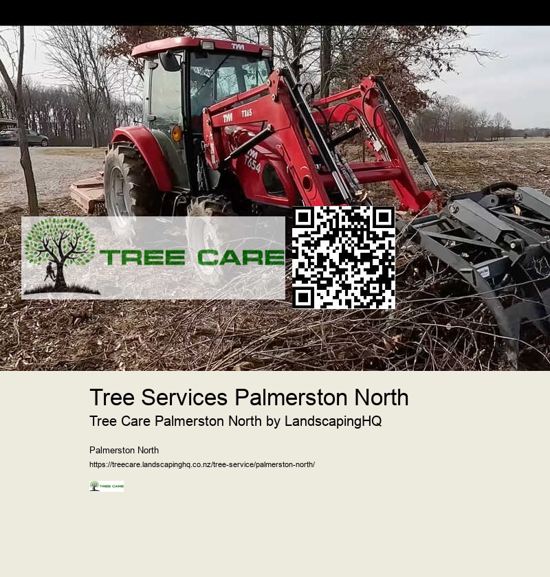 Professional Tree Trimming Palmerston North