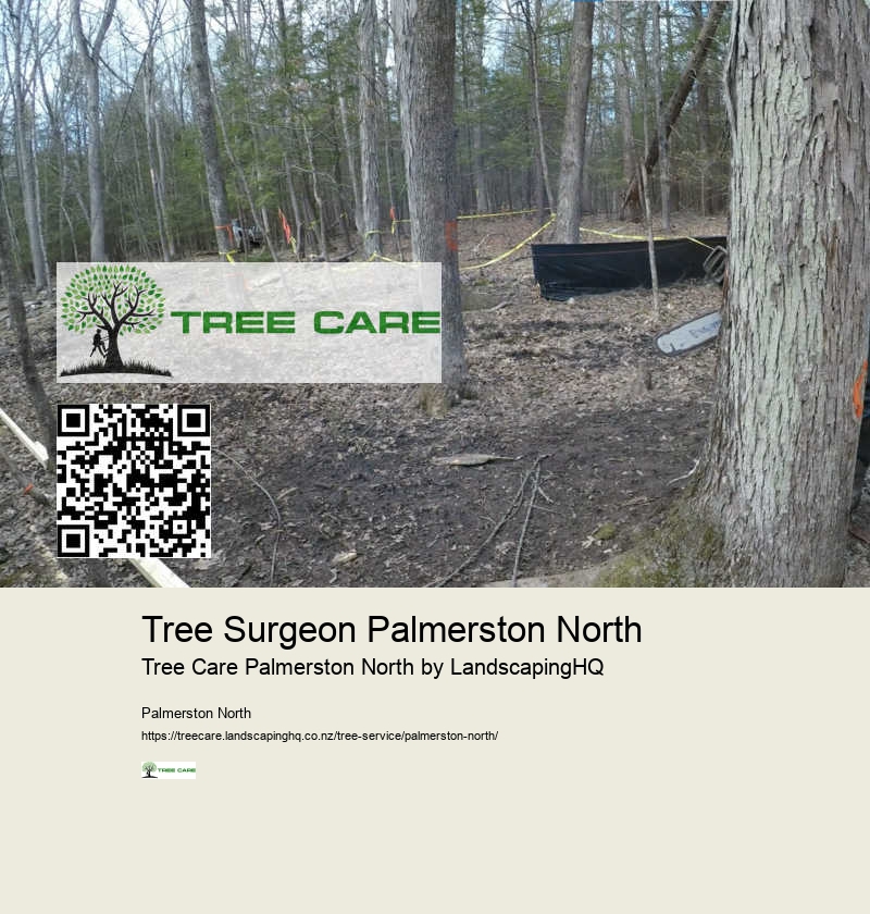 Tree Health Consulting Palmerston North