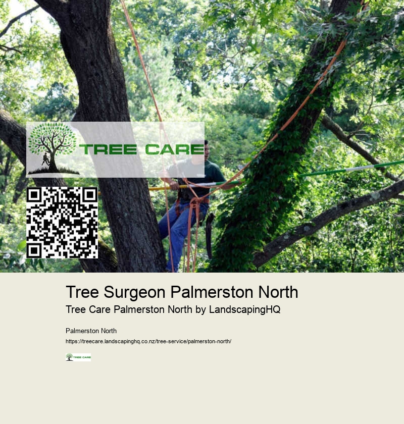 Affordable Tree Cutting Experts Palmerston North