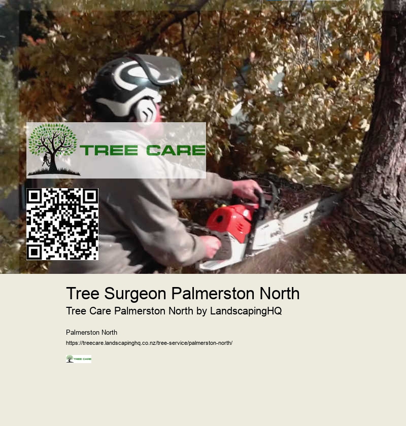 Reliable Tree Care Company Palmerston North