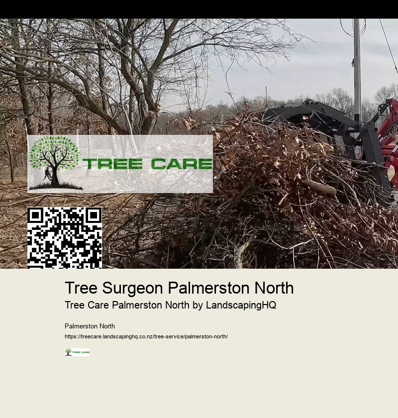 Arborist and Tree Services Palmerston North