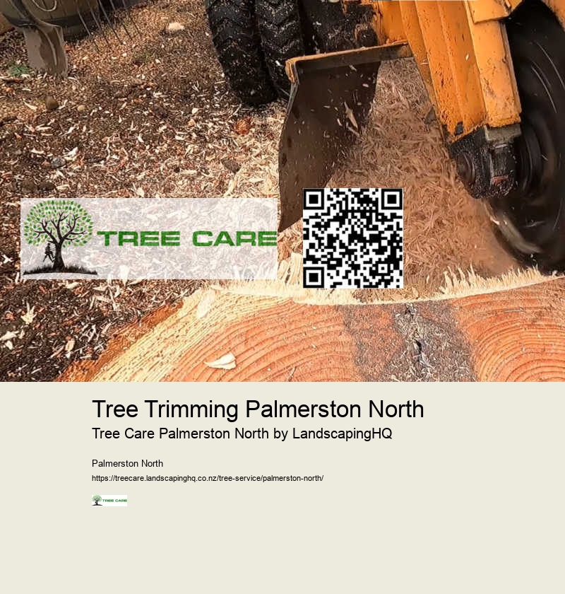 Local Stump Grinding Experts Palmerston North