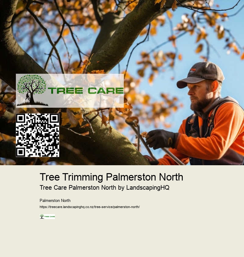 Local Tree Removal Specialists Palmerston North