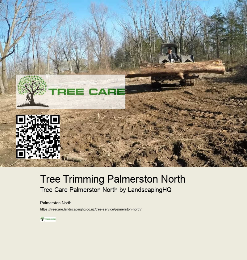 Tree Shaping and Pruning Palmerston North