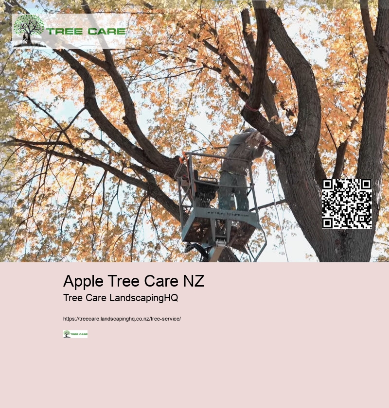 Tree Services Tauranga