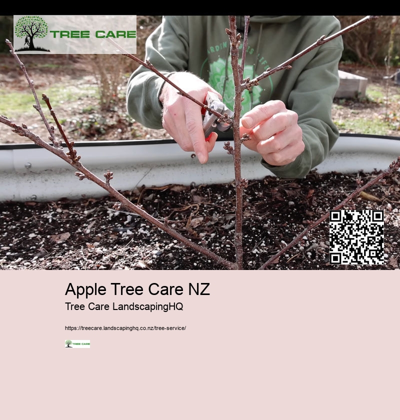 Arborist Cost NZ